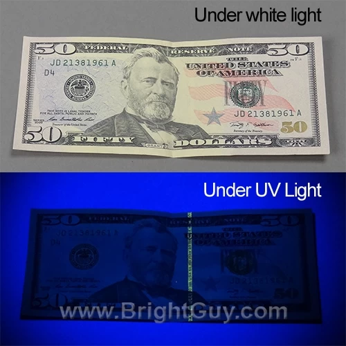 Inova X5 UV Flashlight | Pro Grade 6 Inova X5 UV Flashlight | Pro Grade - Image 6