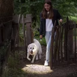 LEDLenser P5R Core Rechargeable Flashlight | Adjustable Focus -Illuminate Futures LED Lenser P5R Core Rechargeable Flashlight 6 600x600 1