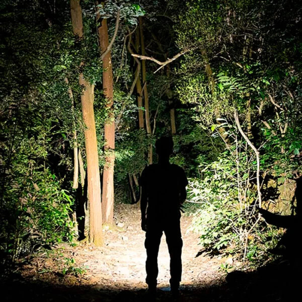 Olight Arkfeld Dual Light With Green Laser | Authorized Distributor 5 Olight Arkfeld Dual Light With Green Laser | Authorized Distributor - Image 5