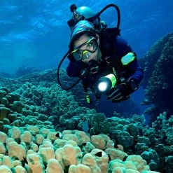 Princeton Tec Sector 5 Waterproof Spot Light | 1200 Lumens -Illuminate Futures Princeton Tec Sector 5 Waterproof Spot Light 3 600x600 1